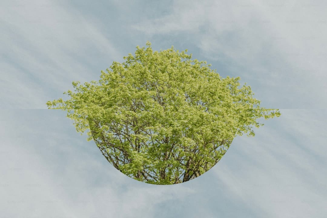 《生万物》:传统题材找到新切口